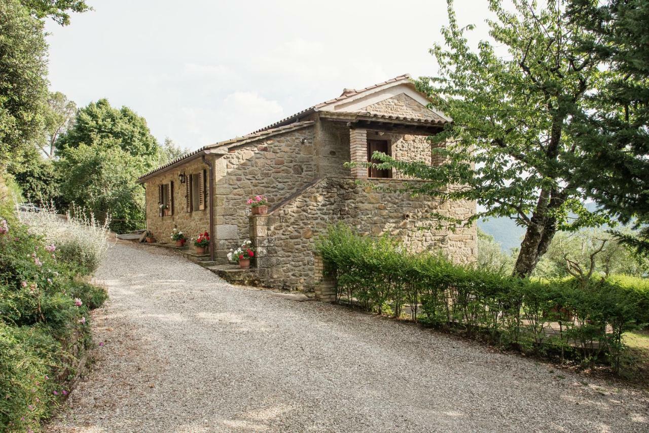 Casa Rancacci Hostal Mercatale  Exterior foto